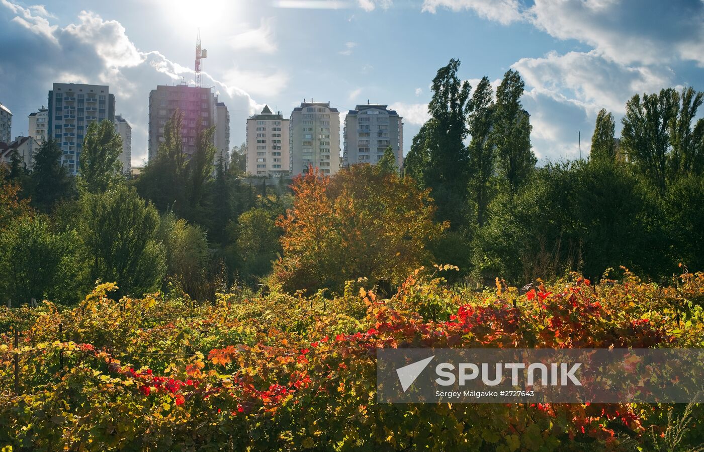 Fall in Crimea