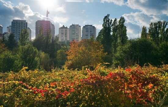 Fall in Crimea