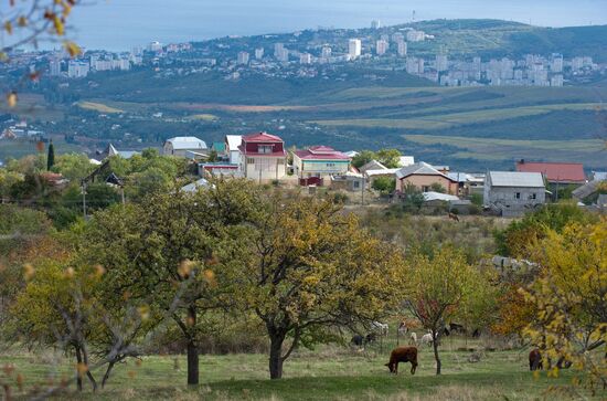 Fall in Crimea