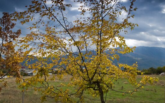 Fall in Crimea