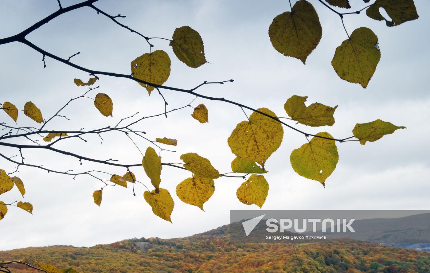 Autumn in Crimea