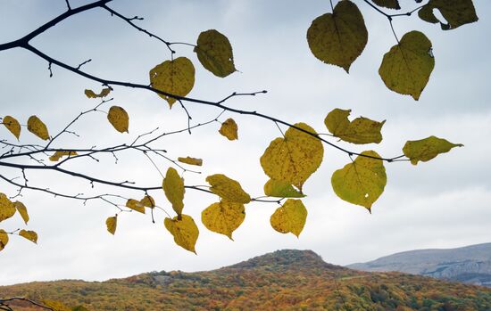 Autumn in Crimea