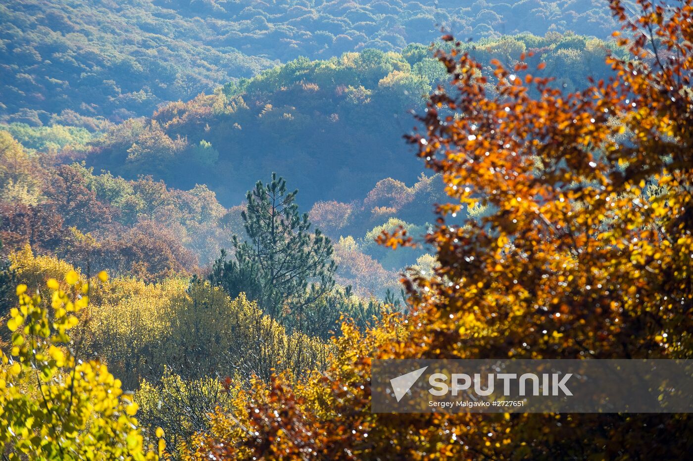 Fall in Crimea