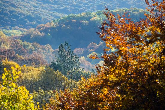 Fall in Crimea