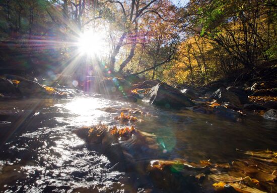 Autumn in Crimea