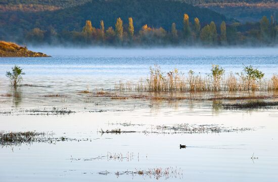 Fall in Crimea