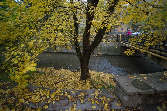 Fall in Crimea