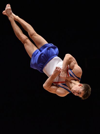 2015 World Gymnastic Championships. Day five