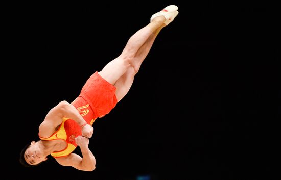2015 World Gymnastic Championships. Day five