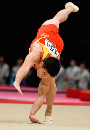2015 World Gymnastic Championships. Day five