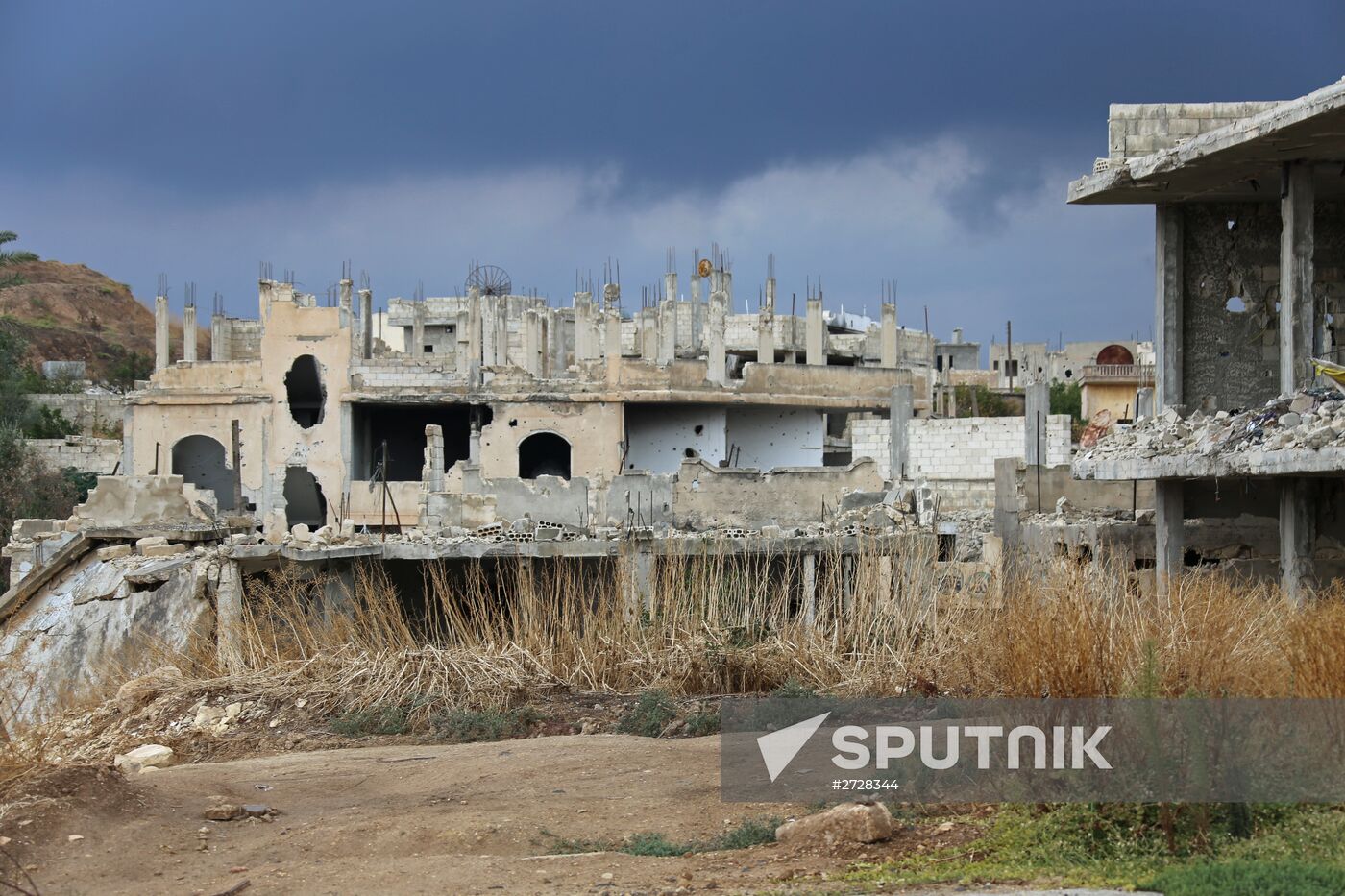 Developments in Syria