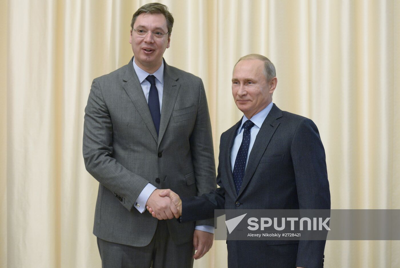 Russian President Vladimir Putin meets with Serbian Prime Minister Aleksandar Vucic