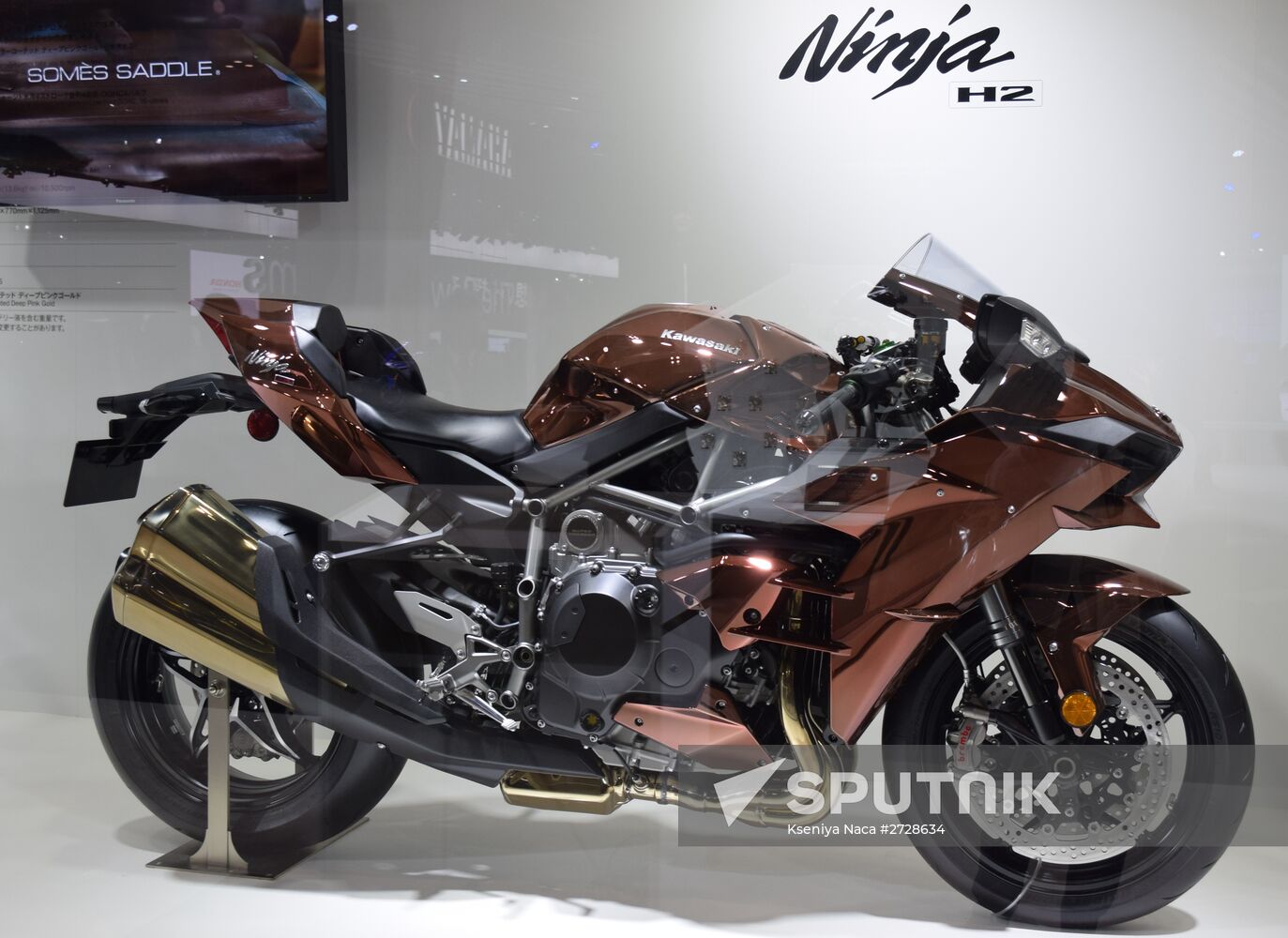 Tokyo Motor Show 2015