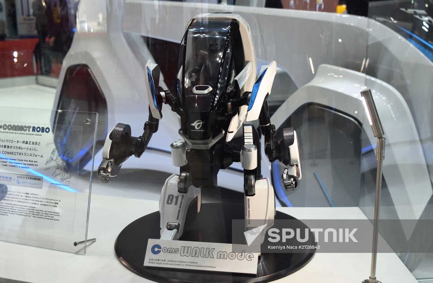 Tokyo Motor Show 2015