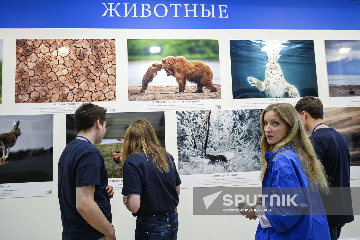 Second Festival of Russian Geographical Society