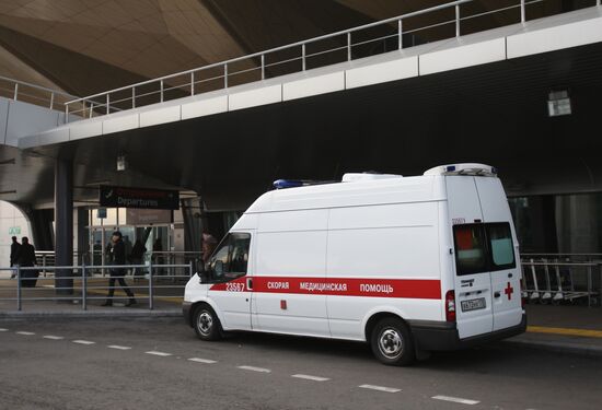 Russian plane crashes in the Sinai Peninsula