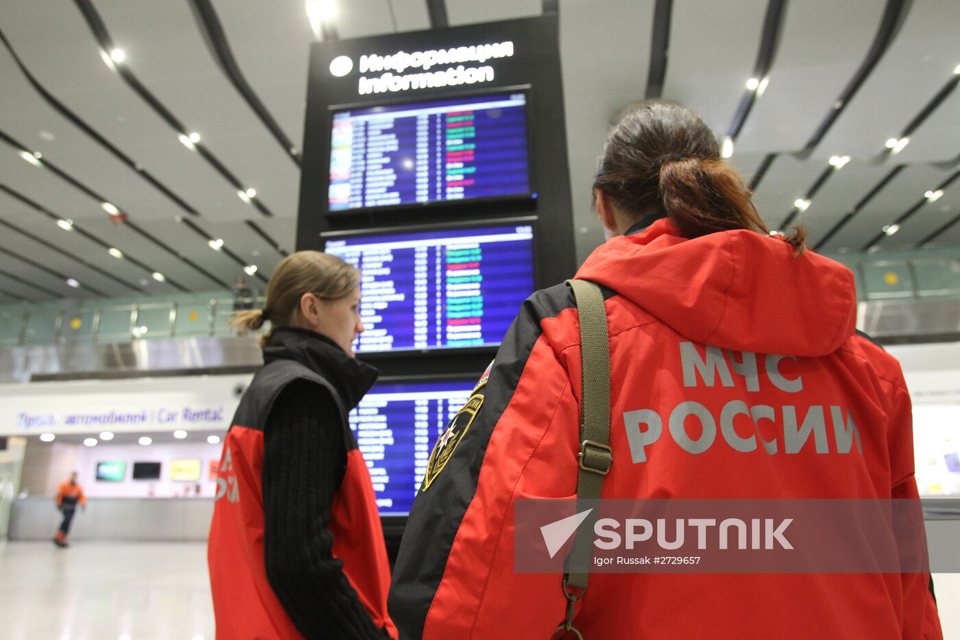 Russian plane crashes in the Sinai Peninsula