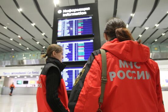 Russian plane crashes in the Sinai Peninsula