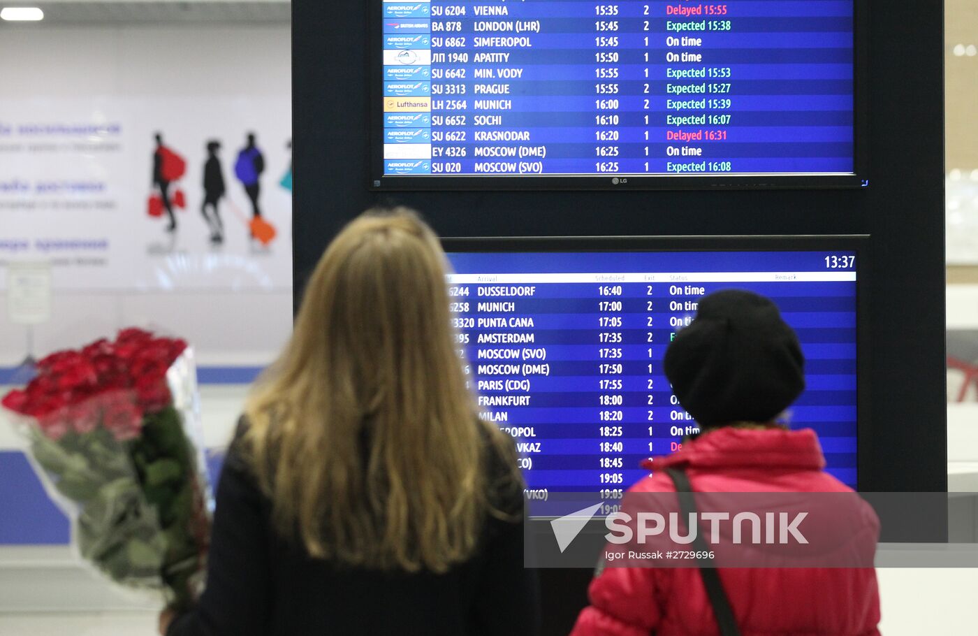 Russian plane crashes in the Sinai Peninsula