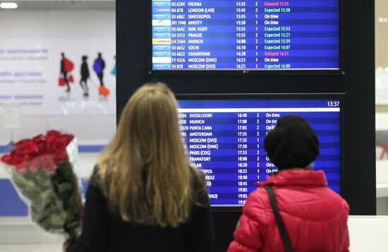 Russian plane crashes in the Sinai Peninsula