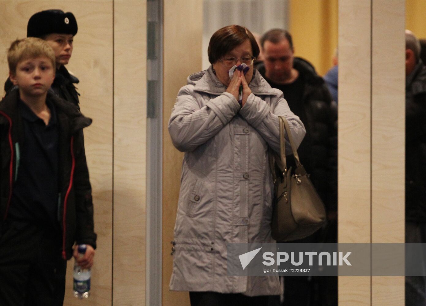 Russian plane crashes in the Sinai Peninsula