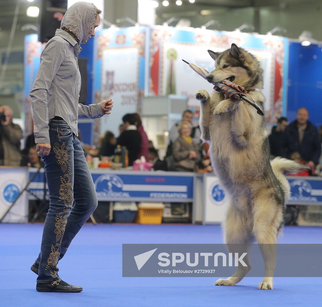 International dog show "Russia - 2015"