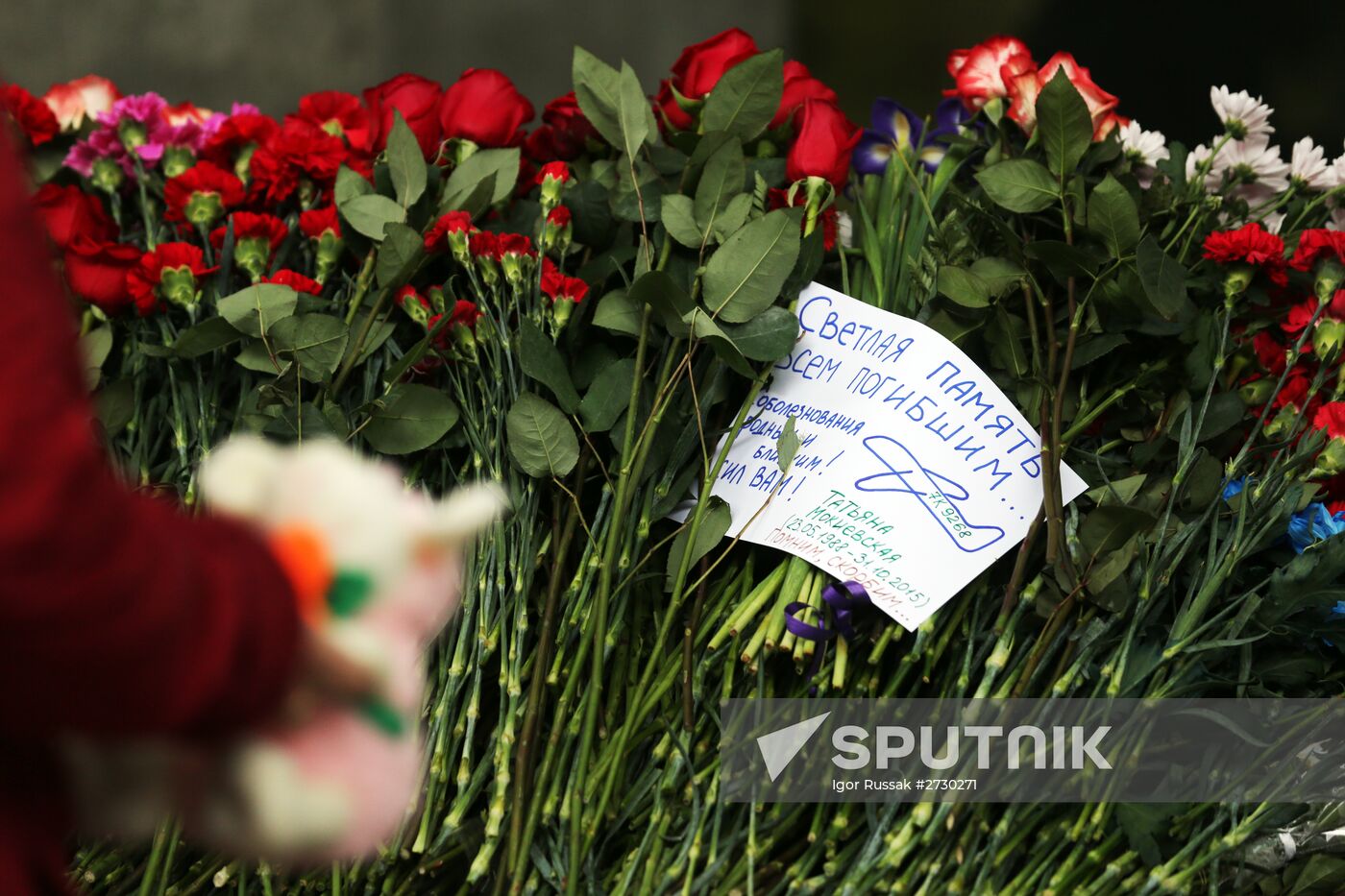 Day of mourning for victims of Egypt plane crash