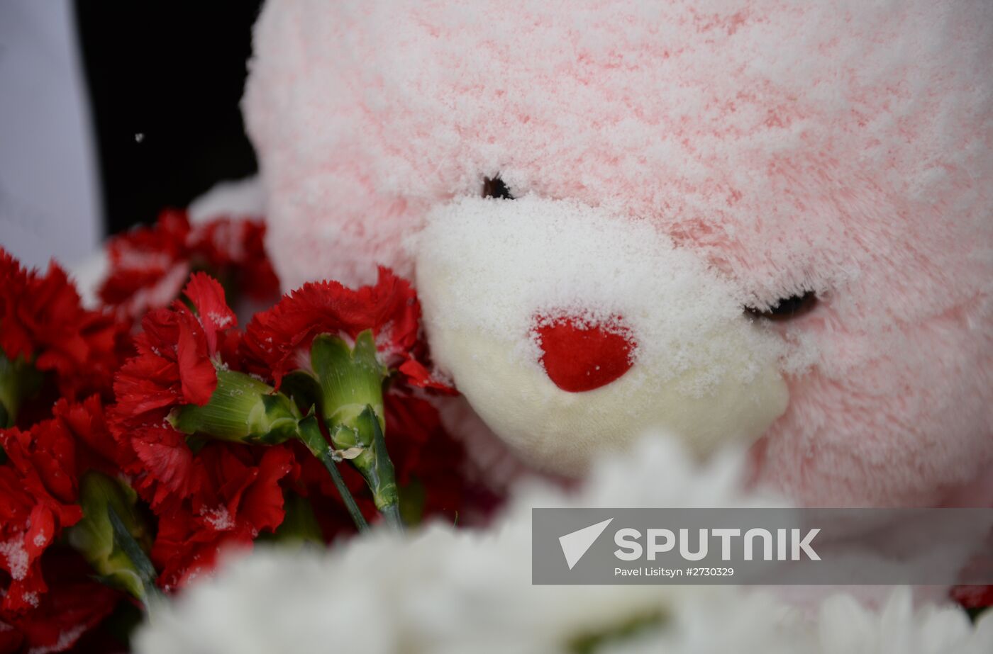 Day of mourning for victims of Egypt plane crash