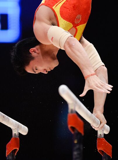 2015 World Gymnastics Championships. Day Ten