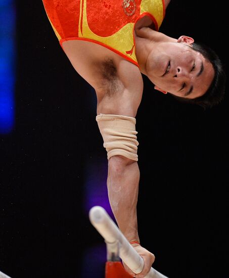 2015 World Gymnastics Championships. Day Ten