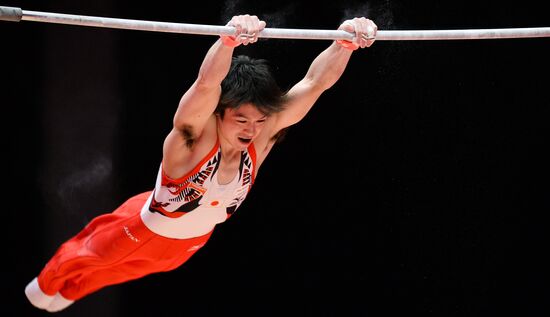 2015 World Gymnastics Championships. Day Ten