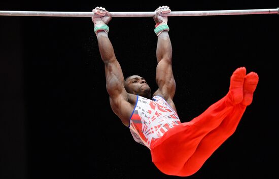 2015 World Gymnastics Championships. Day Ten