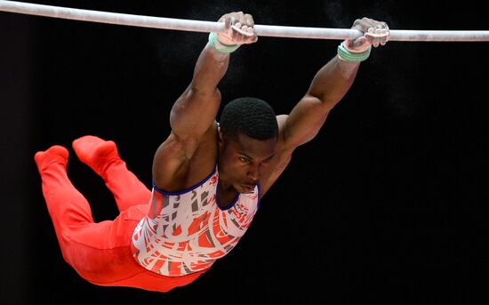 2015 World Gymnastics Championships. Day Ten