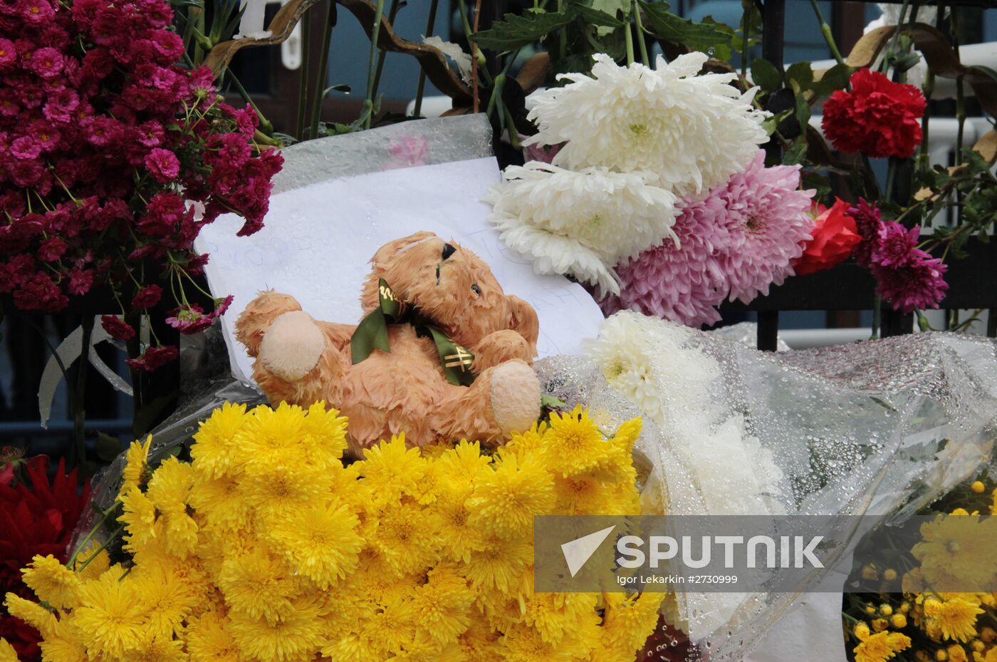 Flowers in memory of Airbus A321 crash victims near Russian embassies in foreign countries