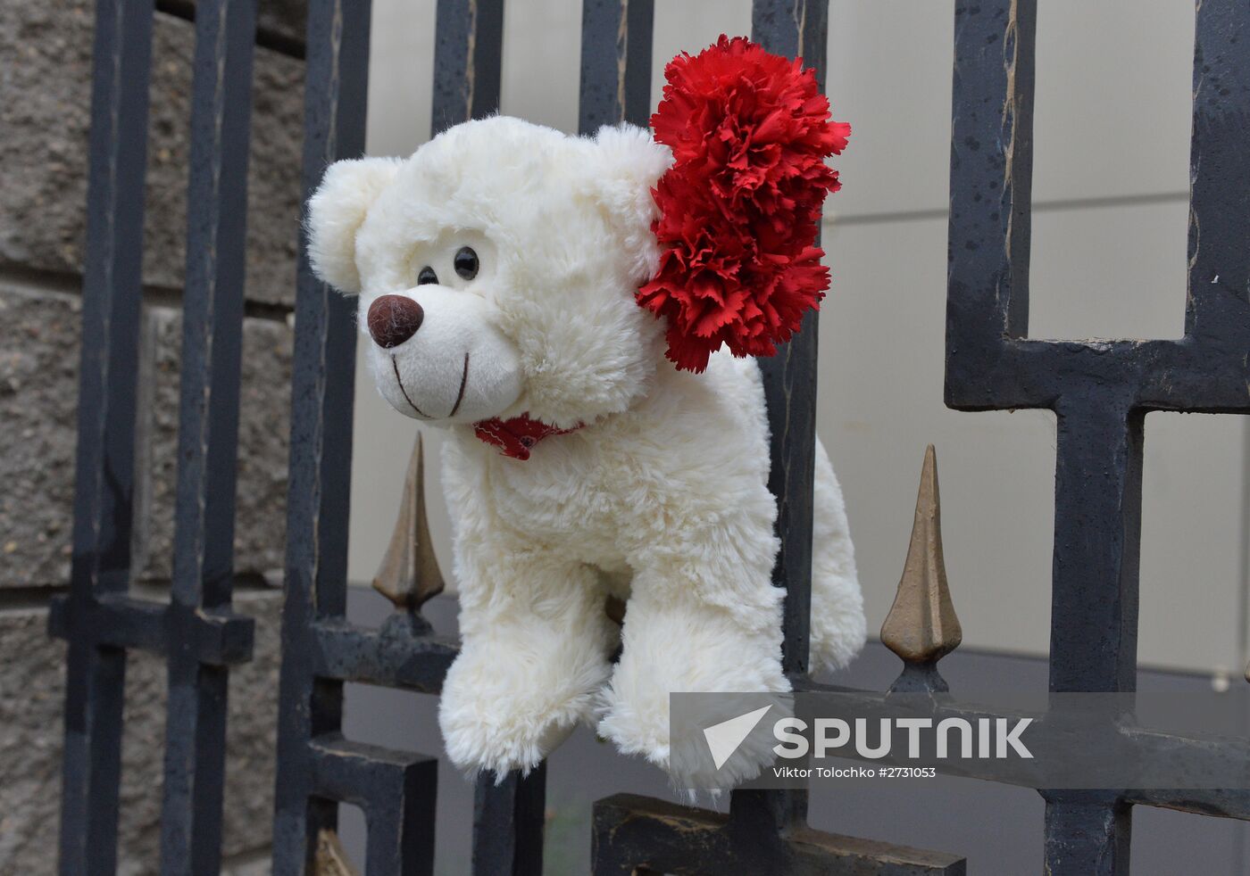 Flowers in memory of Airbus A321 crash victims near Russian embassies in foreign countries