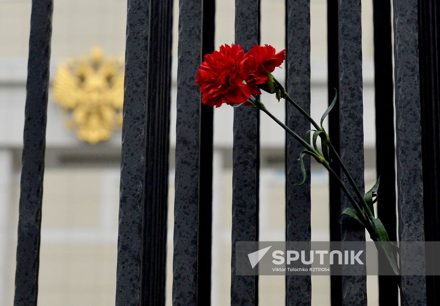 Flowers in memory of Airbus A321 crash victims near Russian embassies in foreign countries