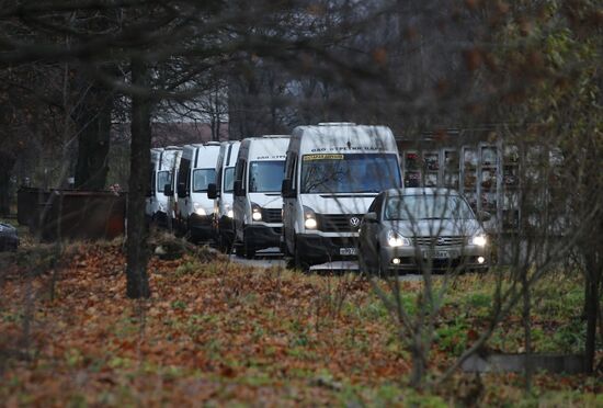 Identification of Airbus A321 crash victims in St. Petersburg