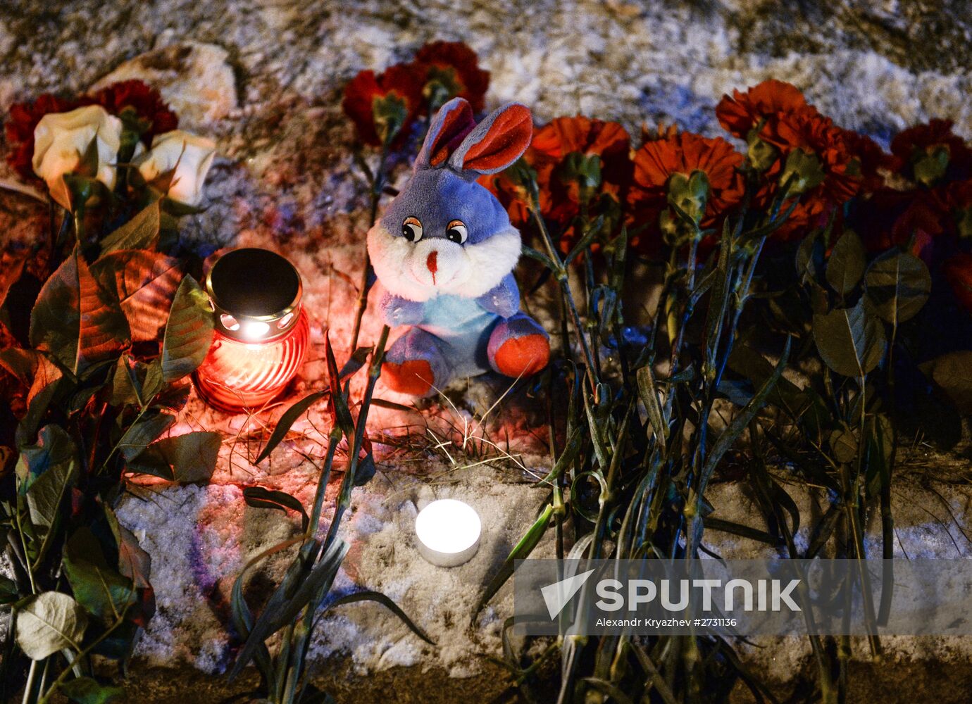 Novosibirsk action in memory of A-321 crash victims