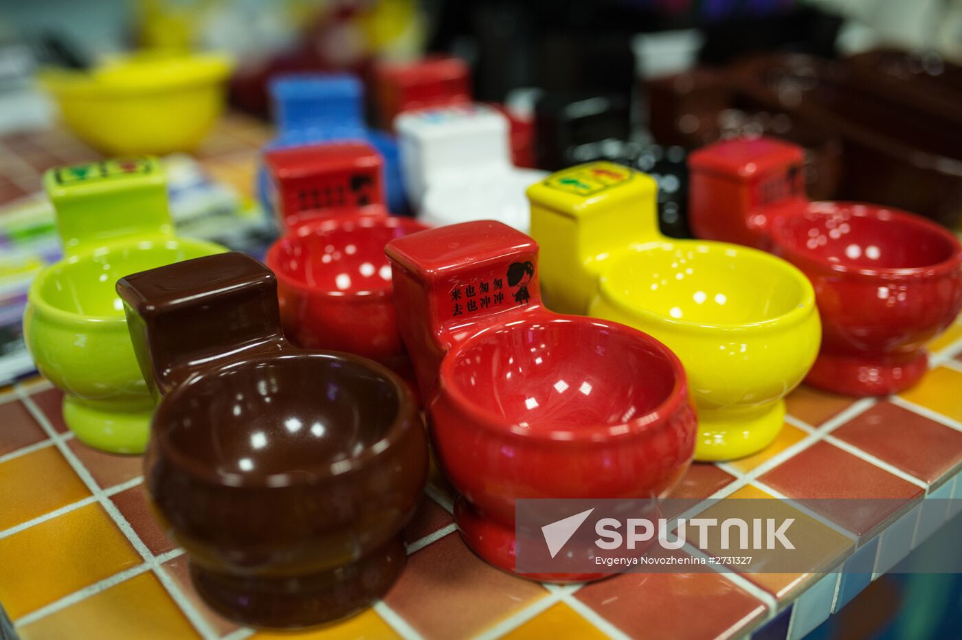Crazy Toilet cafe opens in Moscow