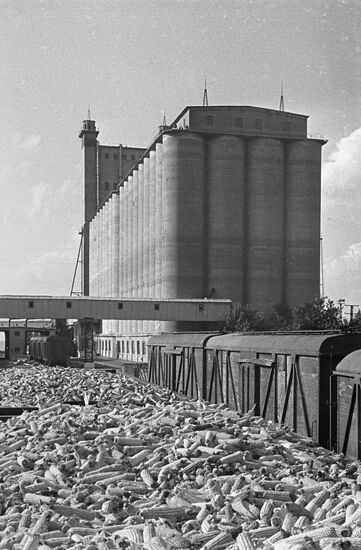 Grain elevator