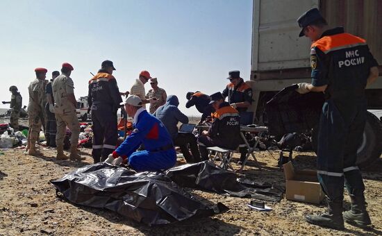 Searching Russian Airbus A321 crash site in Egypt