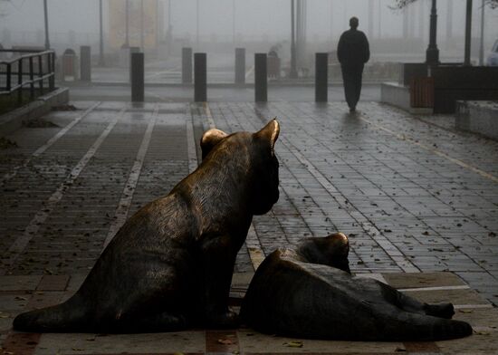 Morning fog in Vladivostok