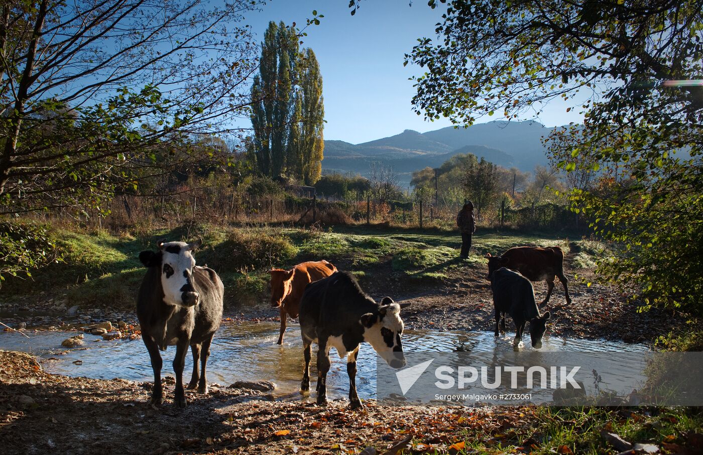 Village of Schastlivoye, Crimea