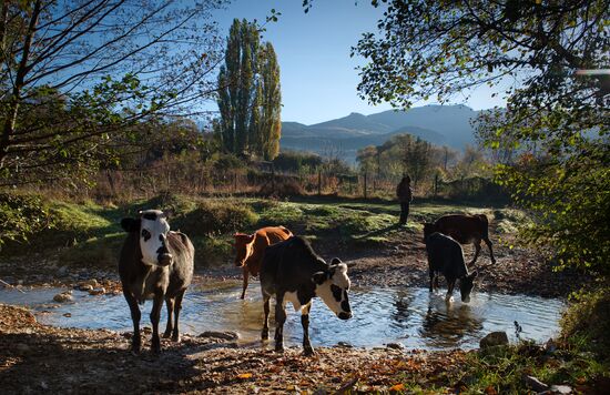 Village of Schastlivoye, Crimea