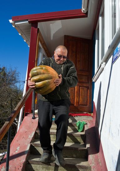 Village of Schastlivoye, Crimea