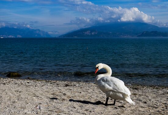 Limone sul Garda. Italy