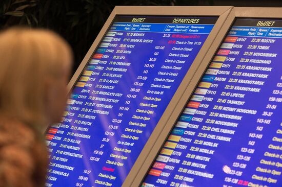 Russia suspends flights to Egypt