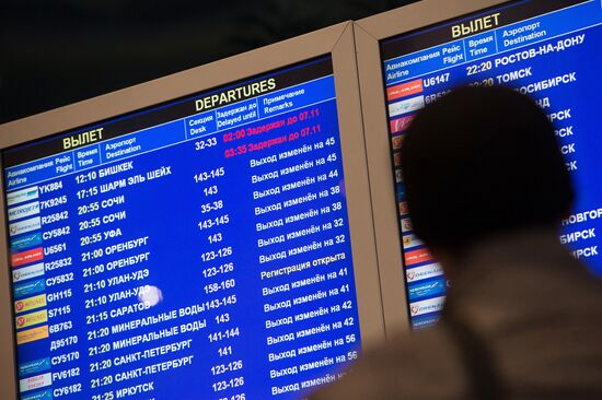 Russia suspends flights to Egypt