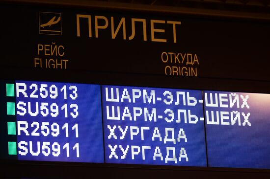 Russia suspends flights to Egypt