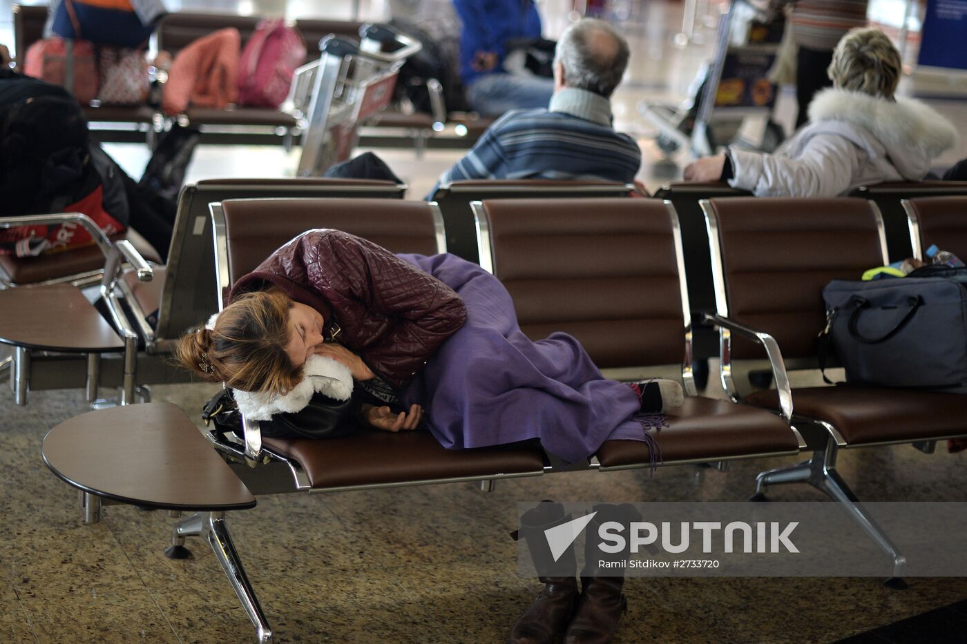 Russia suspends flights to Egypt